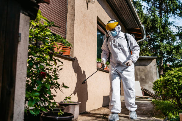 Best Pest Prevention Services  in South Vacherie, LA