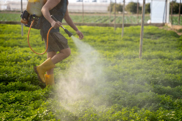 Best Best Pest Control Companies  in South Vacherie, LA