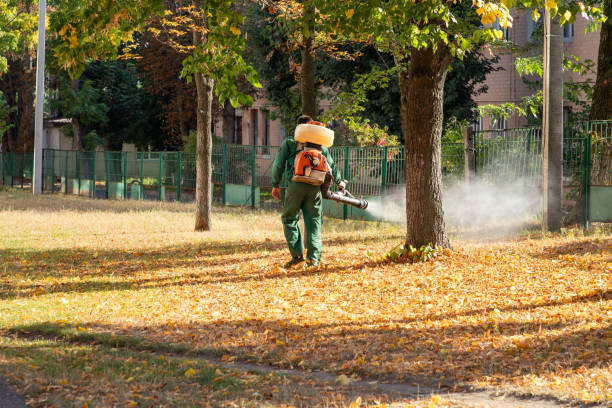 Best Local Pest Control Services  in South Vacherie, LA