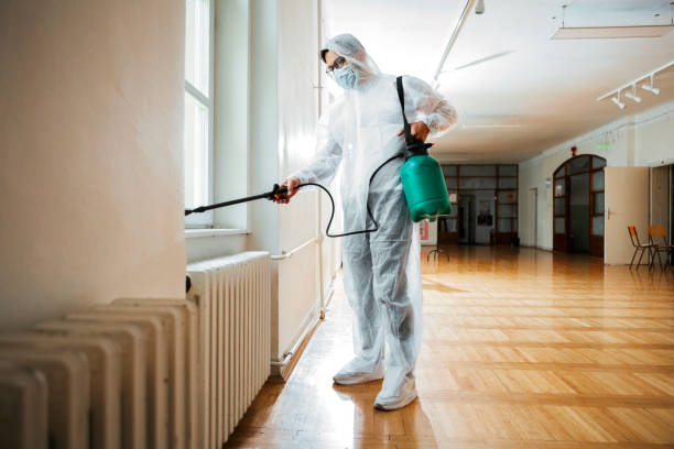 Best Residential Pest Control  in South Vacherie, LA