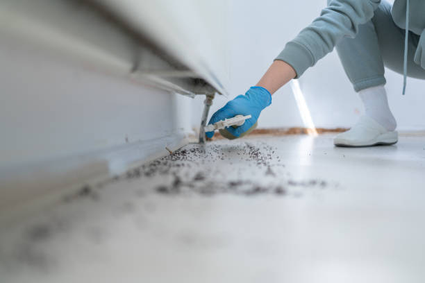 Trusted South Vacherie, LA Pest Control Experts